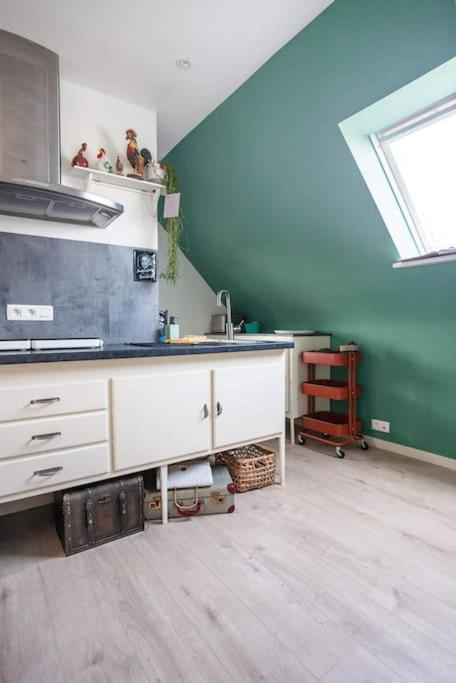 Zalig Cosy Appartement 2-4 Pers.Fietsen & Tuin De Haan Kültér fotó