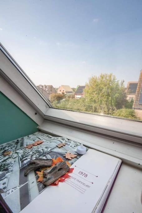 Zalig Cosy Appartement 2-4 Pers.Fietsen & Tuin De Haan Kültér fotó